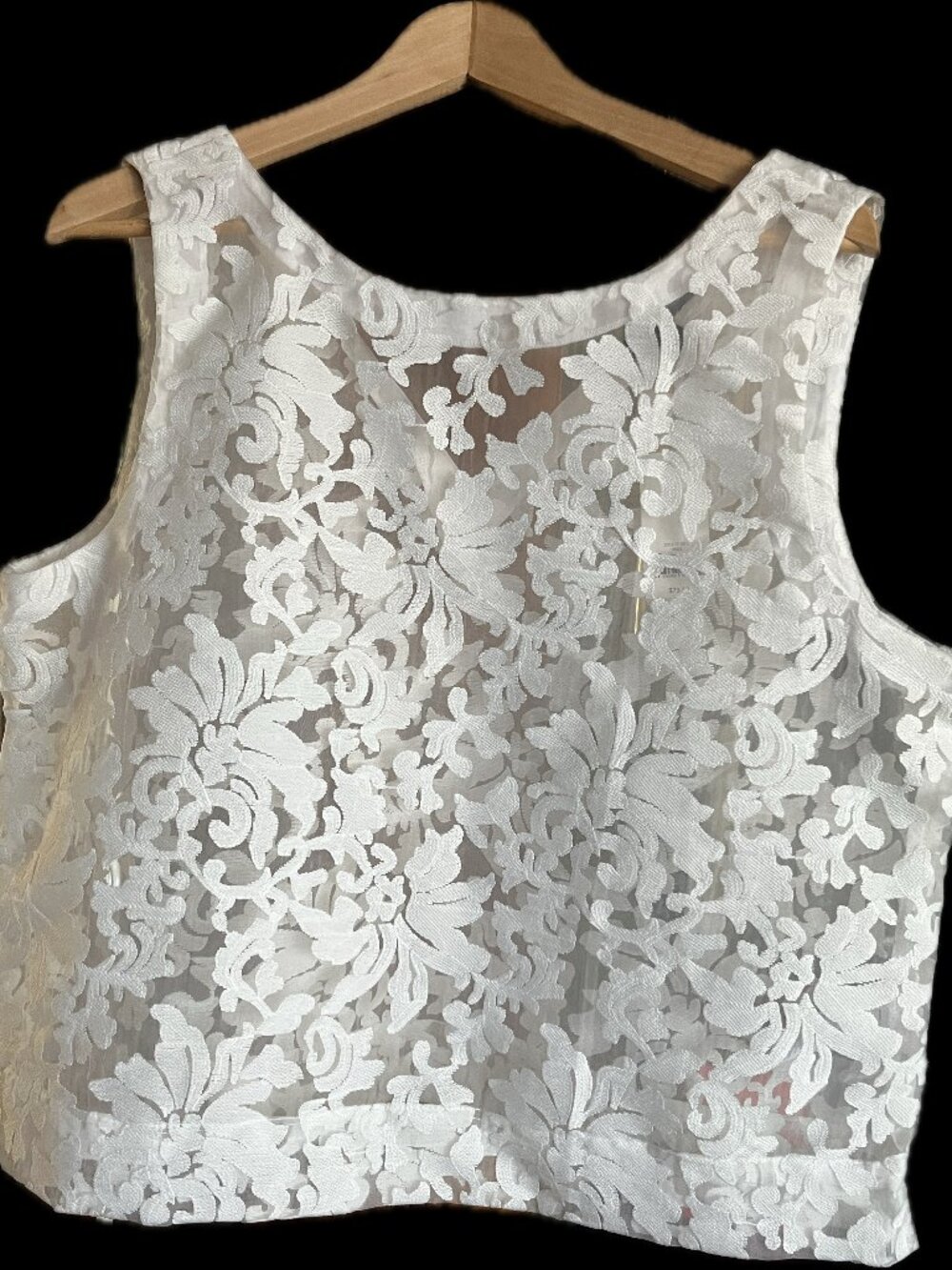 Banana Republic Sheer Lace Organza Top